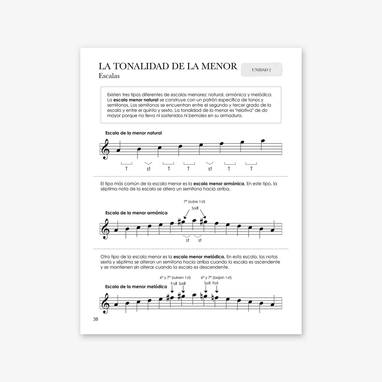 Piano Safari Method Spanish Children Theory Book 3