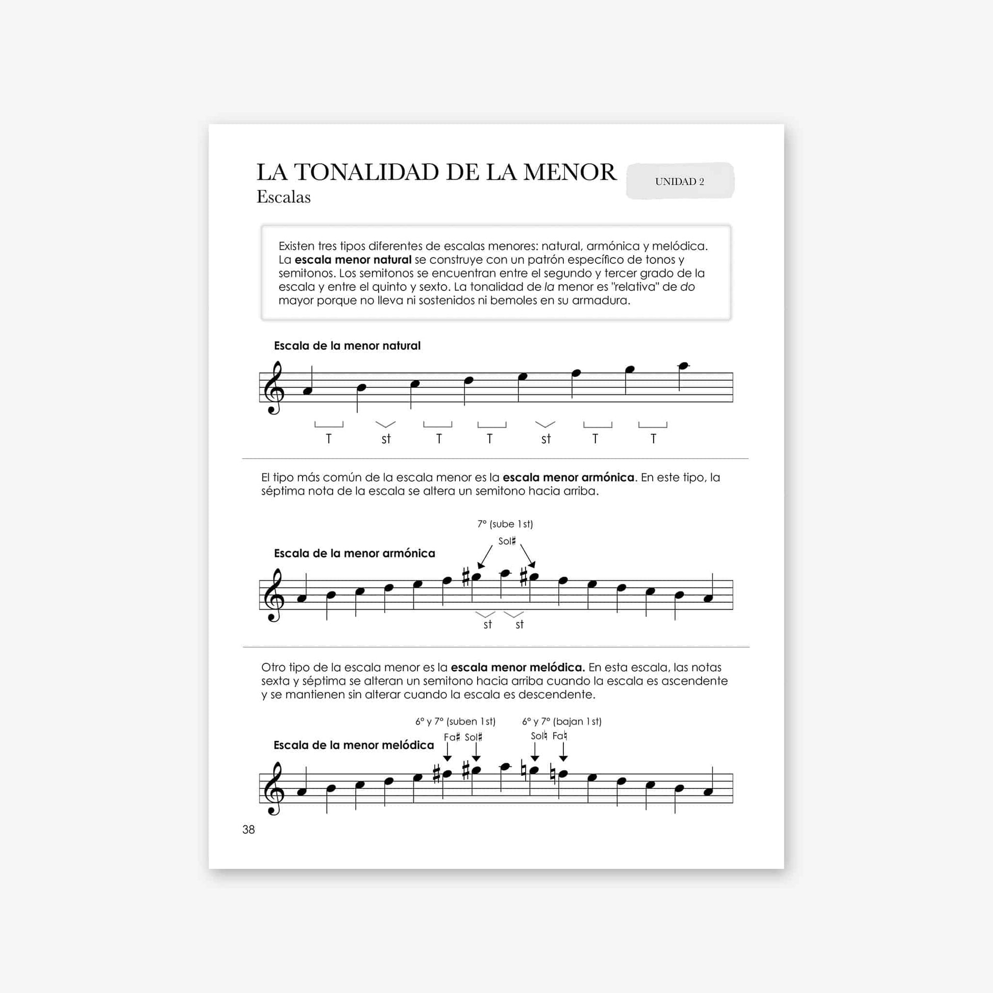 Piano Safari Method Spanish Children Theory Book 3